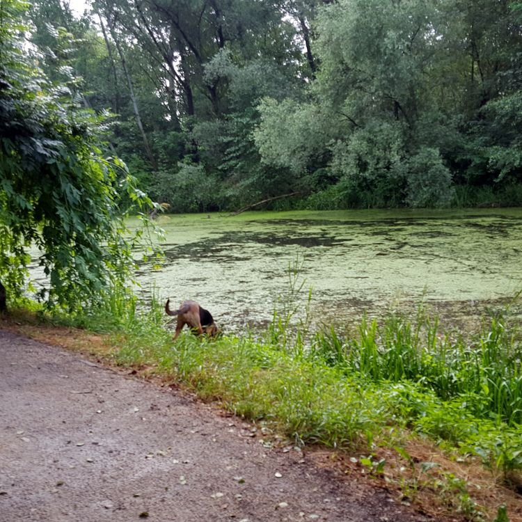 20190622_082146.jpg