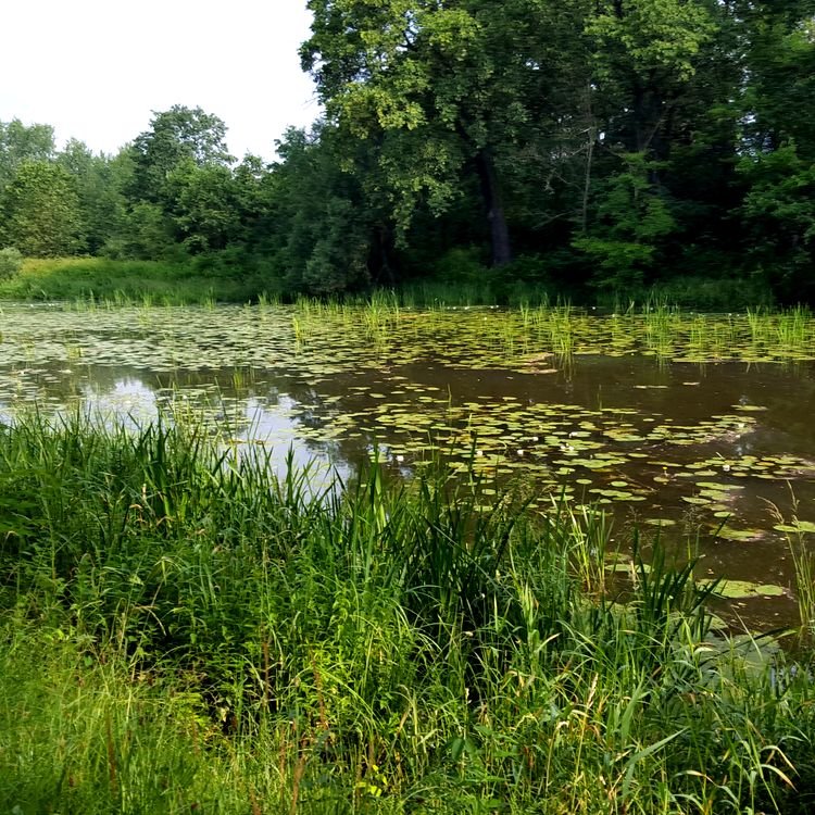 20190622_084601.jpg