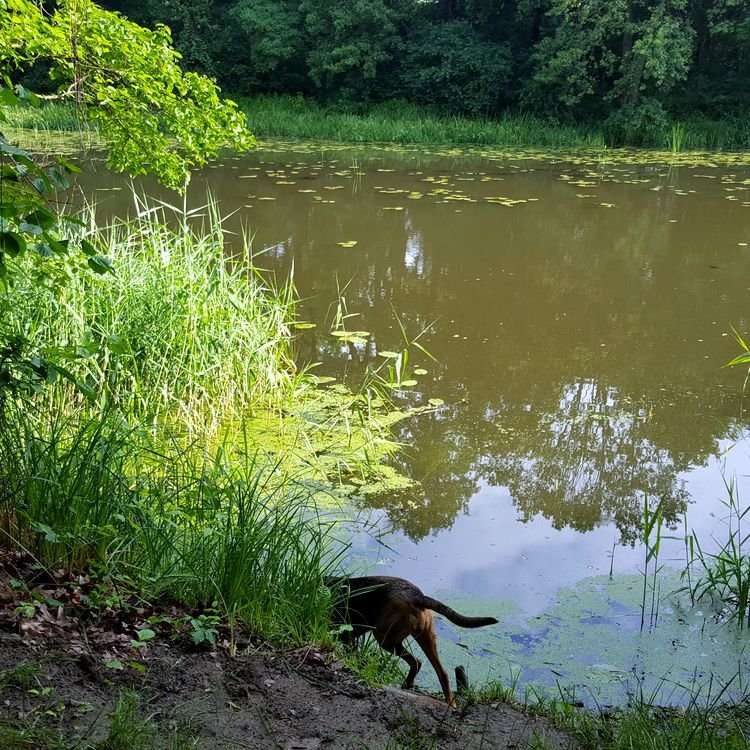 20190622_084429.jpg