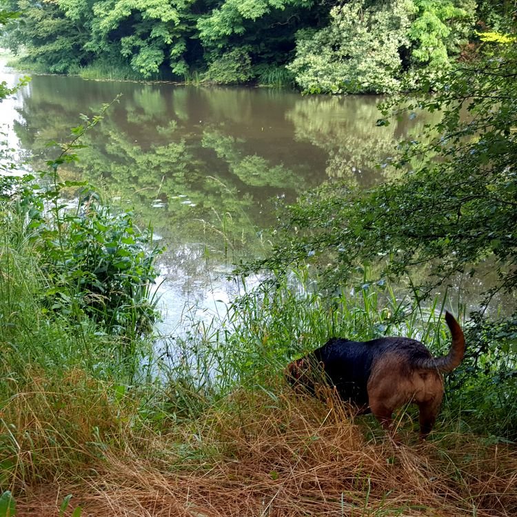 20190622_083935.jpg