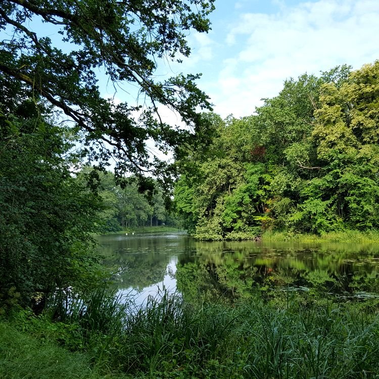 20190622_083824.jpg