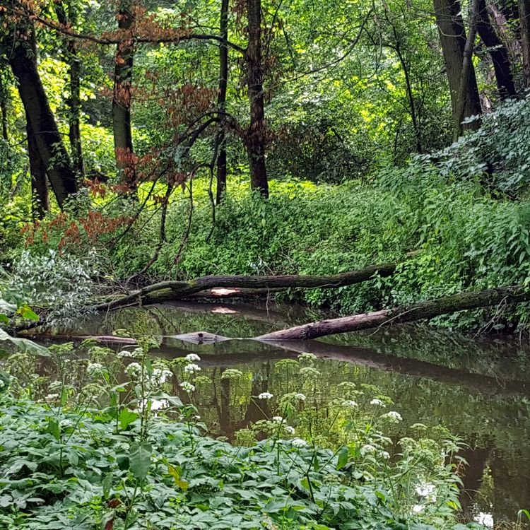 20190622_083050.jpg