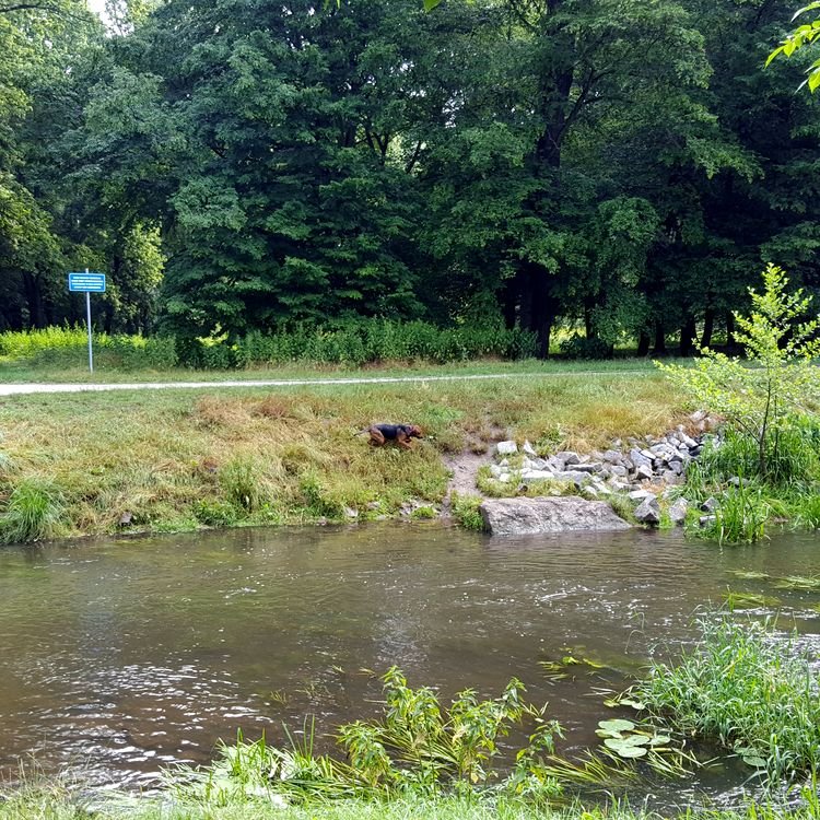 20190622_082447.jpg