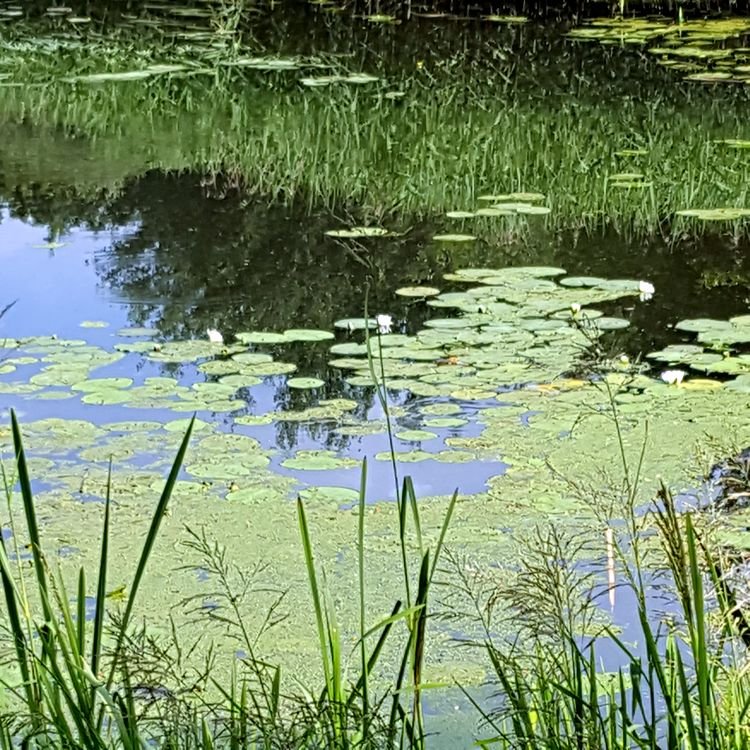 20190622_084807.jpg