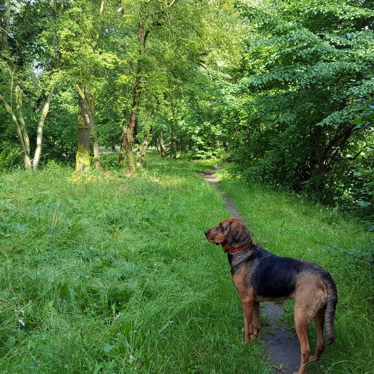 20190622_084358.jpg