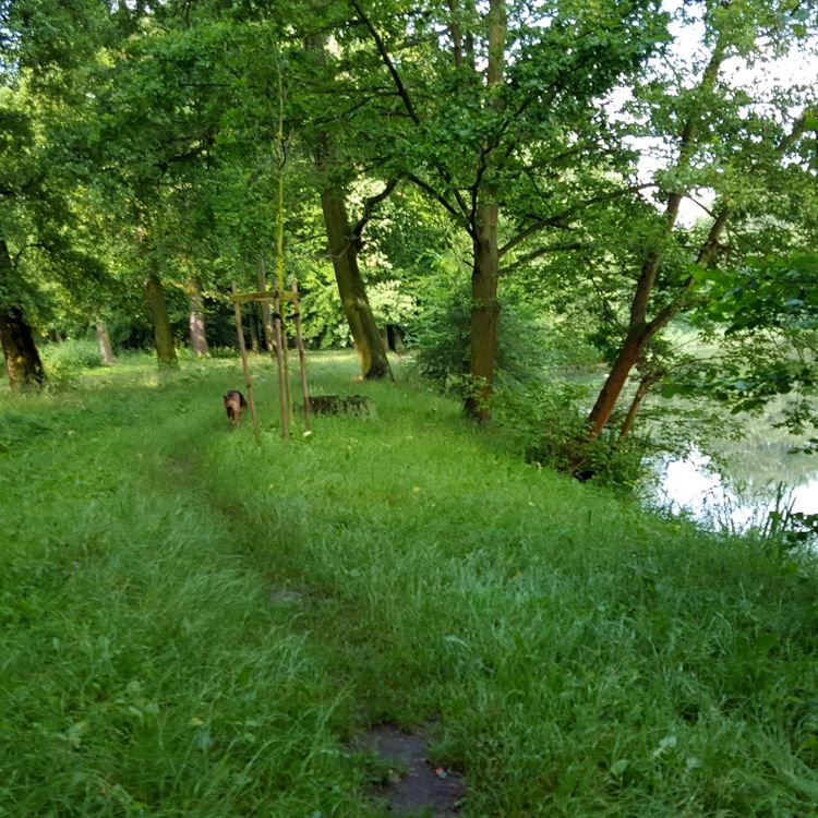 20190622_083904.jpg