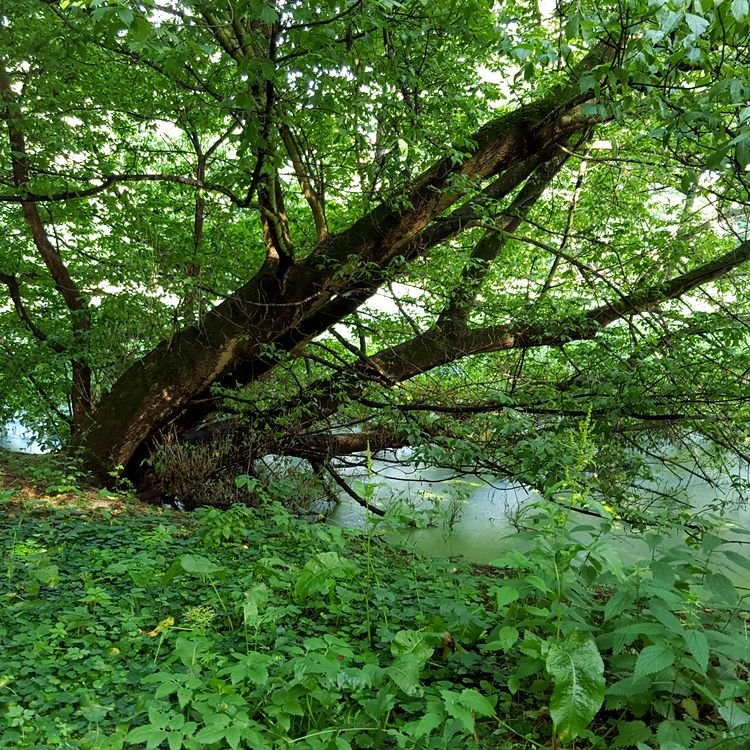 20190622_083745.jpg