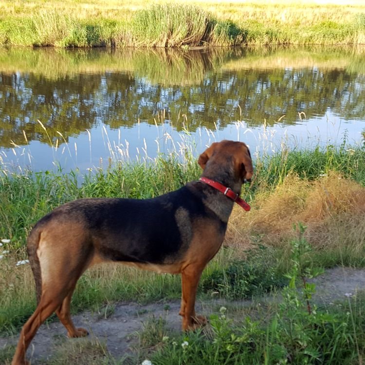 20190623_192004.jpg