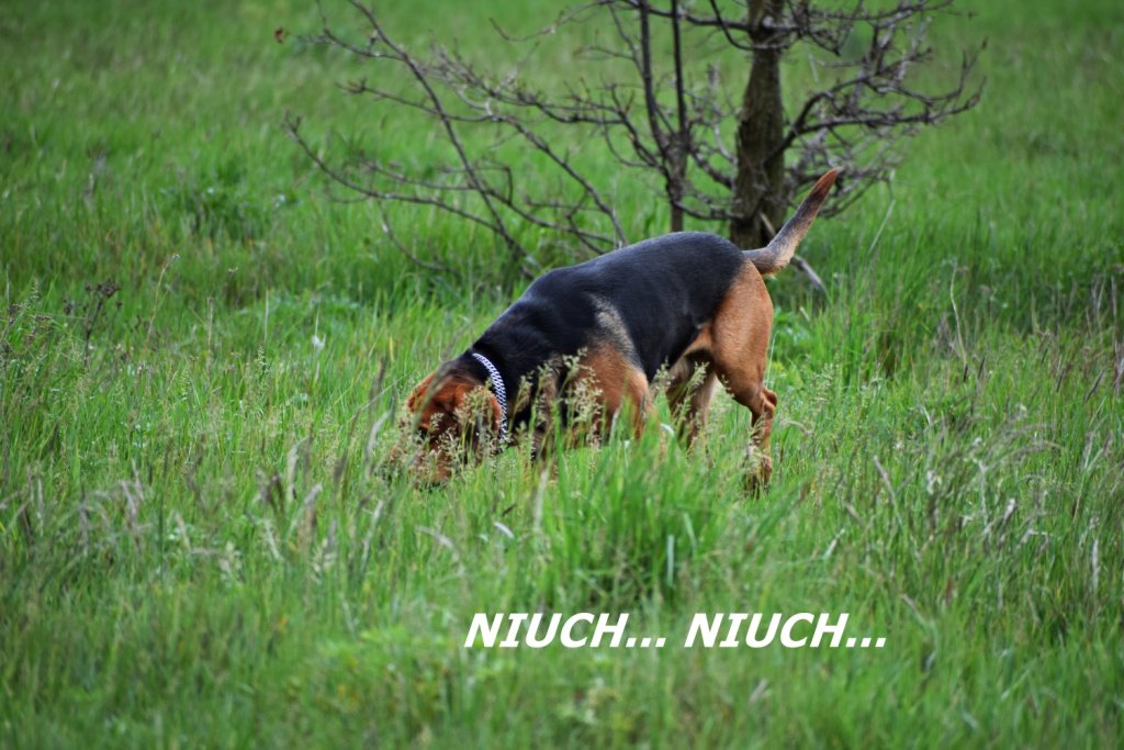 DSC_0200m.JPG