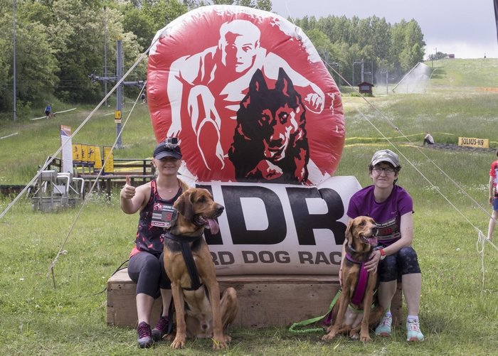 Hard Dog Race