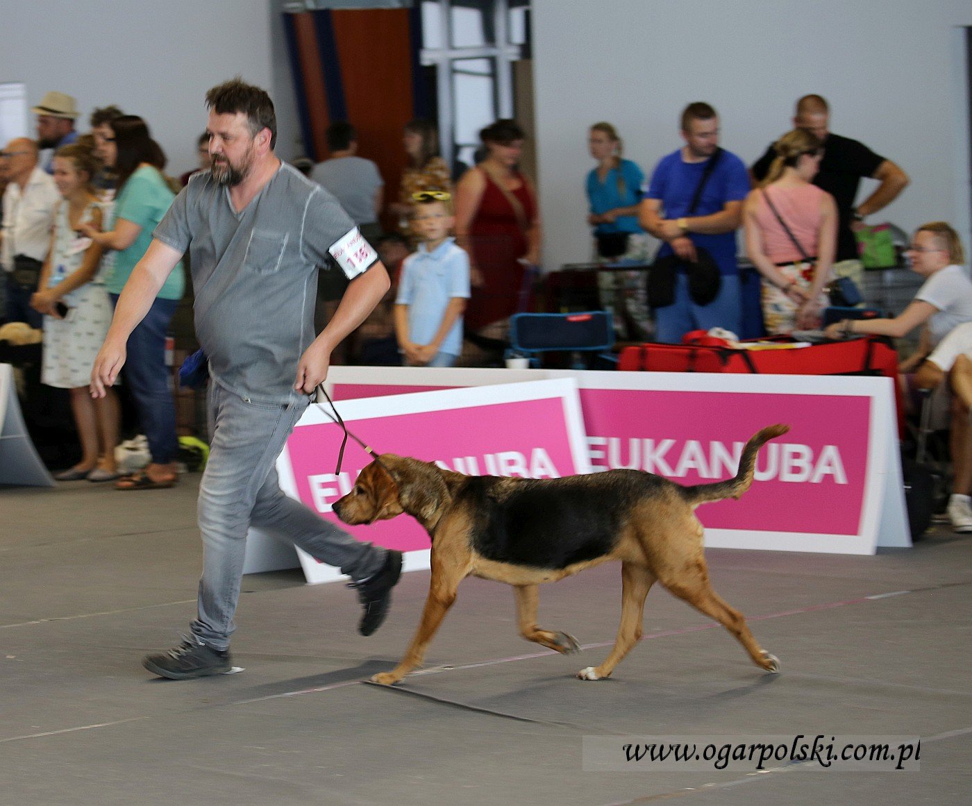 Fraszka z Zagrajboru