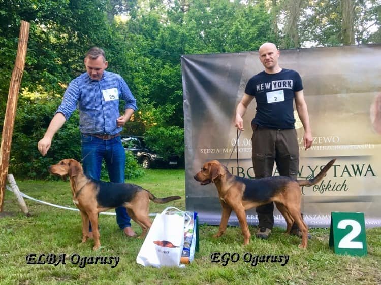 elba i ego.jpg