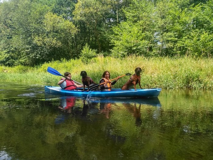 IMG_20190707_120107_HDR.jpg
