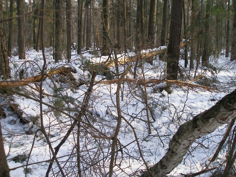P2210121.JPG