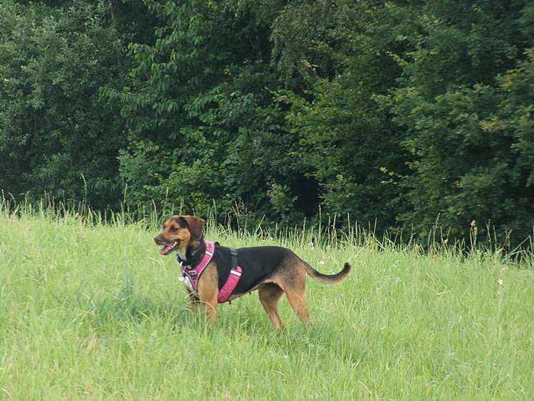100_0660.JPG