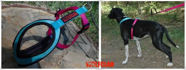Szelki short WolfClan sled dog equipment