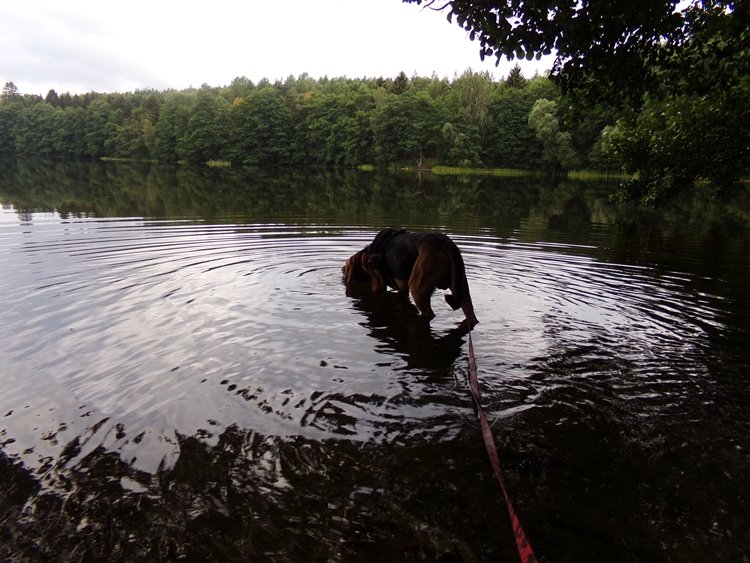 100_0714.JPG
