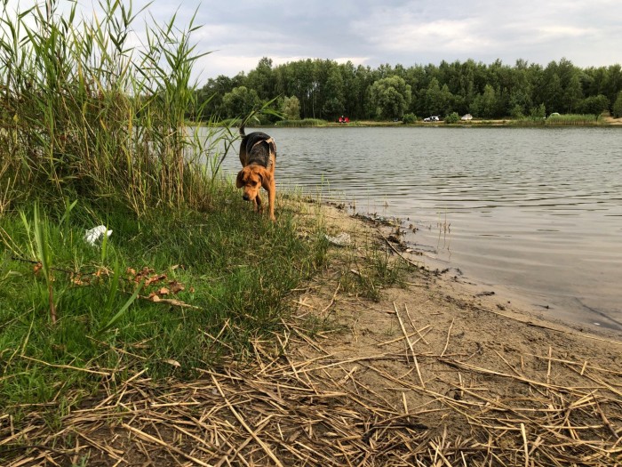 Honeyview_IMG_5987.jpg