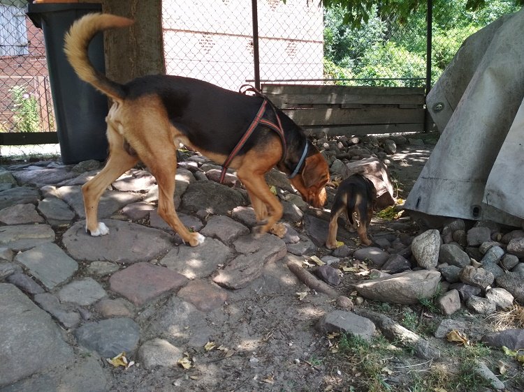 IMG_20190728_131600 - Copy.jpg