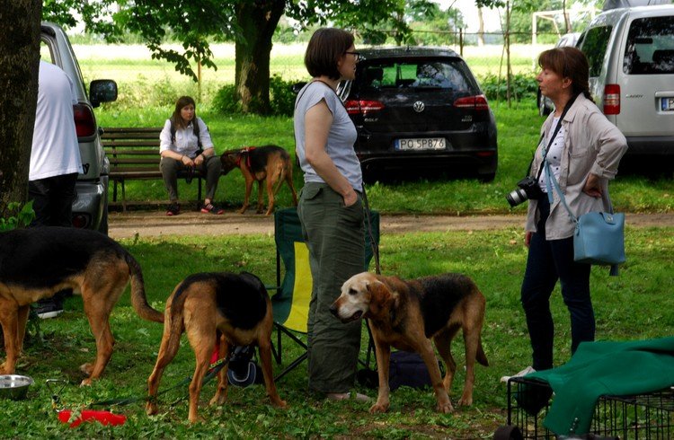 Rozmowy (niekoniecznie nocne ) Polaków