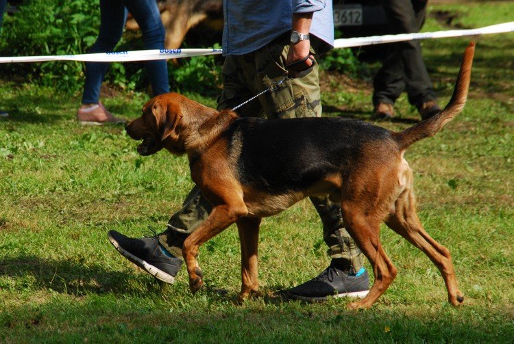 DSC_7315.JPG