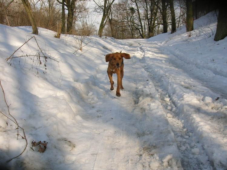 DSCN3705.JPG