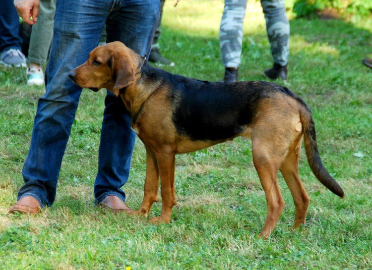 DSC_7455.JPG