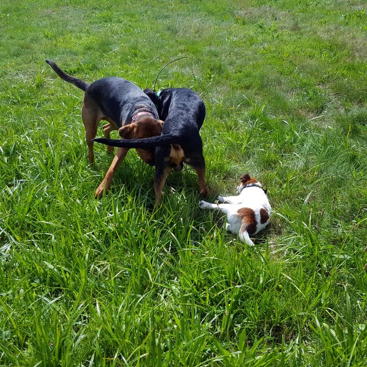 20190804_122201.jpg