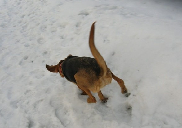 DSCN3751.JPG