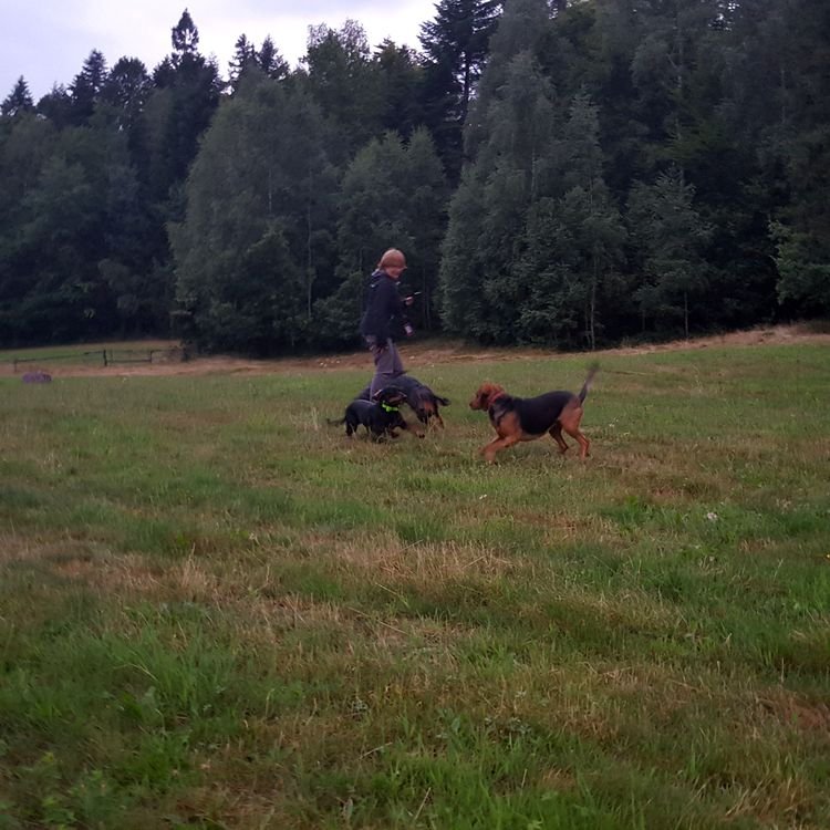 20190803_201525_001.jpg
