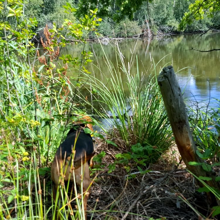 Obchodzimy jeziorka