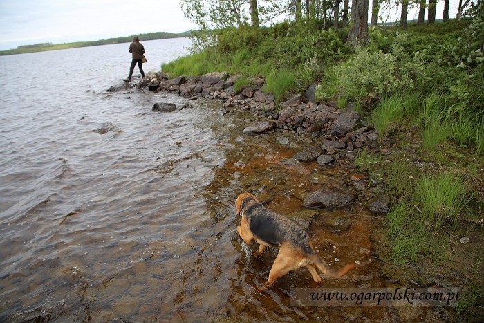 Karelia
