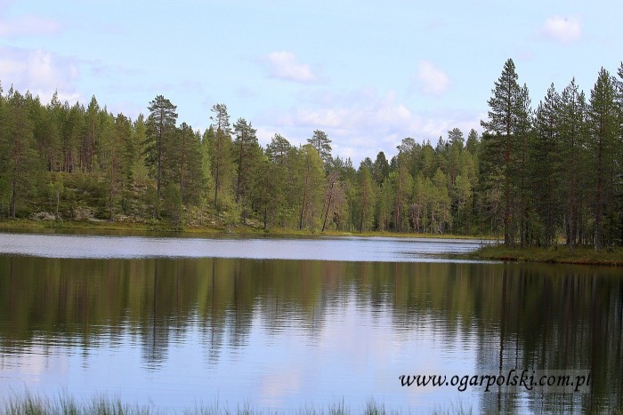 małe-IMG_2871.jpg