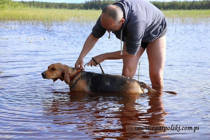 Było tarzanko, to jest kompanko -  z dedykacją dla Stelli :).