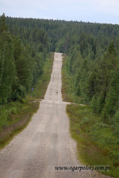 małe-IMG_3037.jpg
