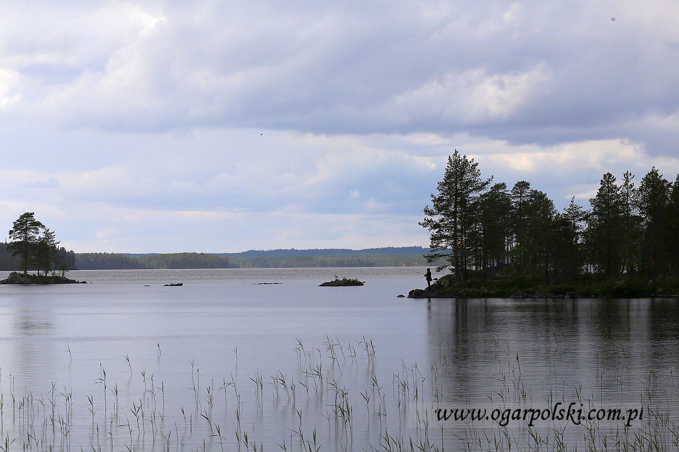 małe-IMG_3062.jpg