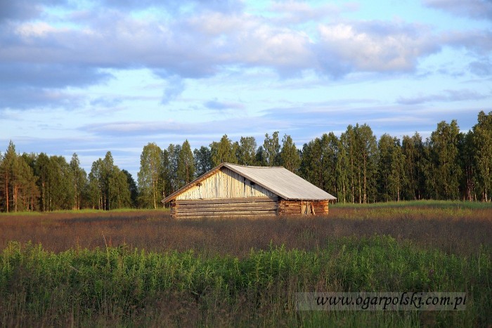 małe-IMG_3225.jpg