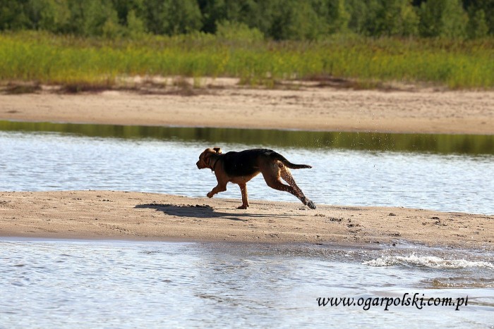 małe-IMG_3341.jpg