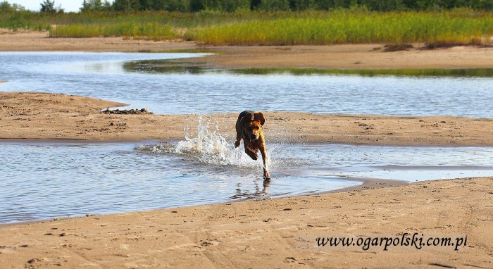 małe-IMG_3347.jpg