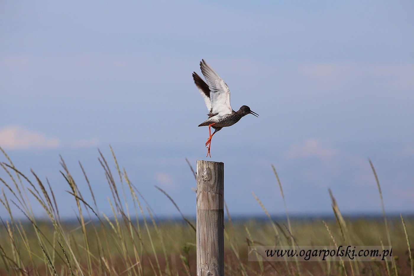 małe-IMG_3387.jpg