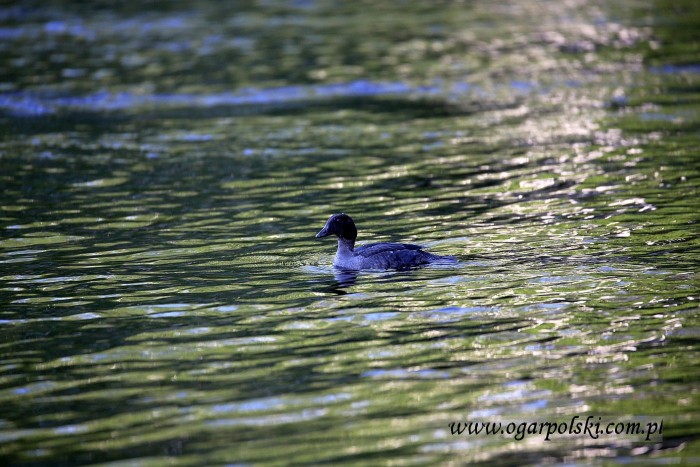 małe-IMG_3451.jpg
