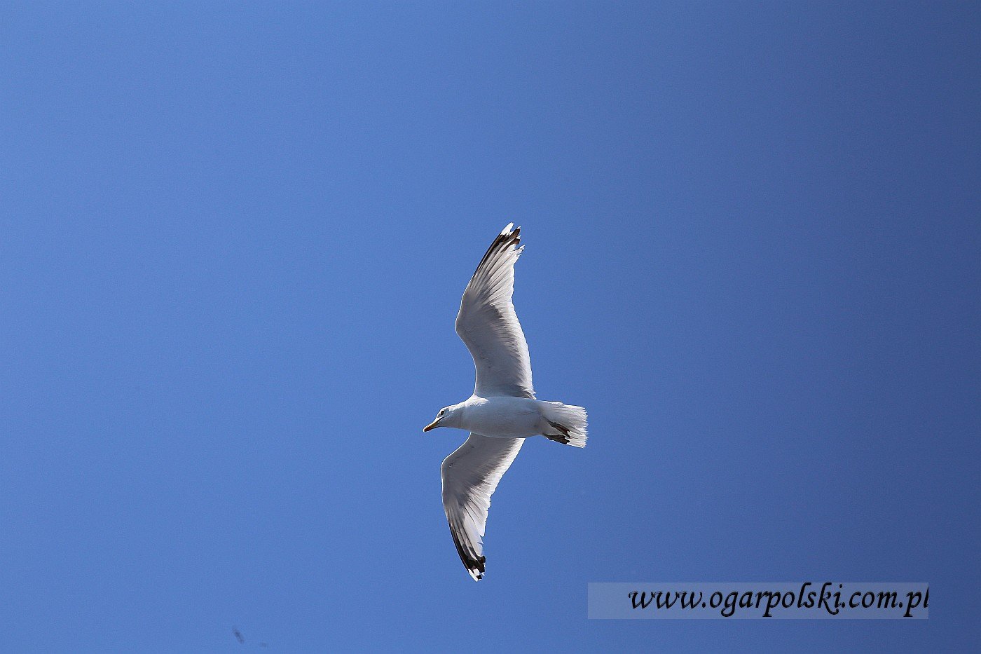 małe-IMG_3521.jpg