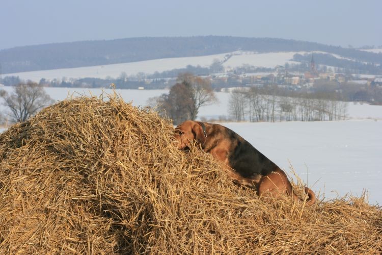 a co tam... wdrapie się i na to
