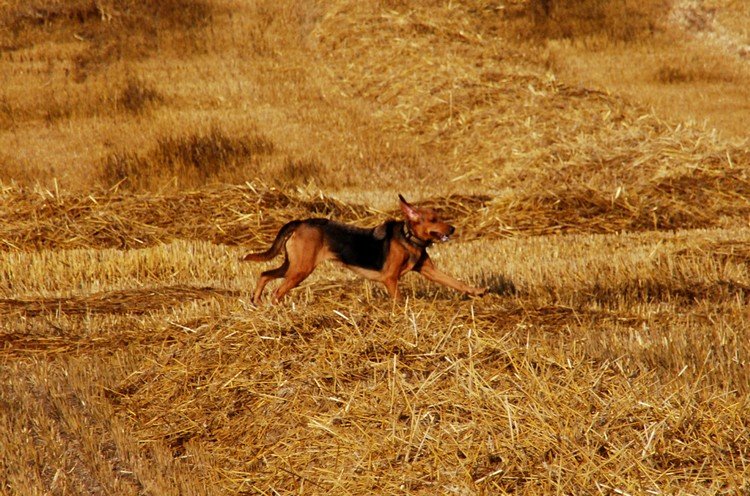 DSC_7925.JPG