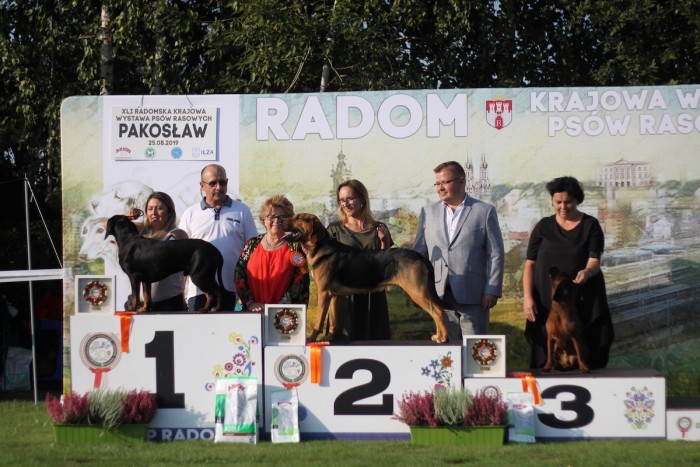 podium 6.jpg