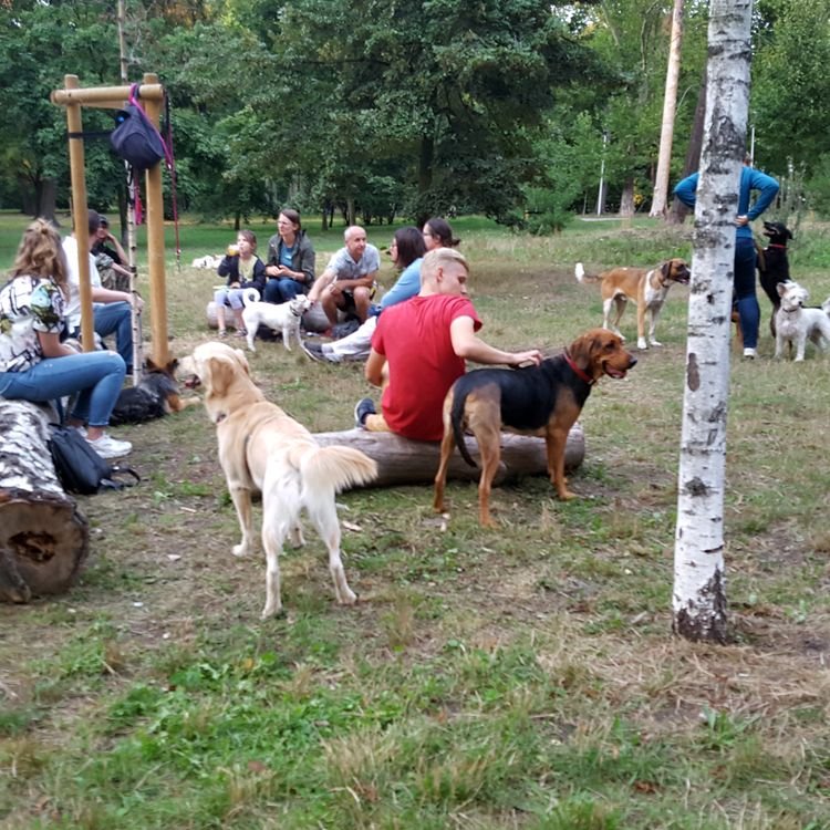 20190822_191426.jpg