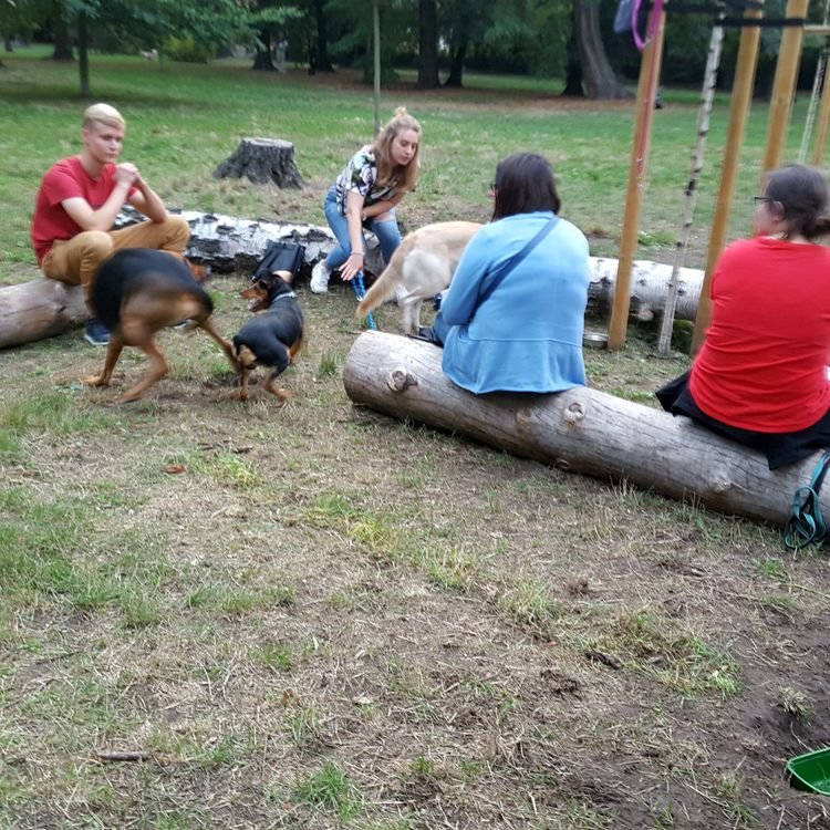 20190822_191837.jpg
