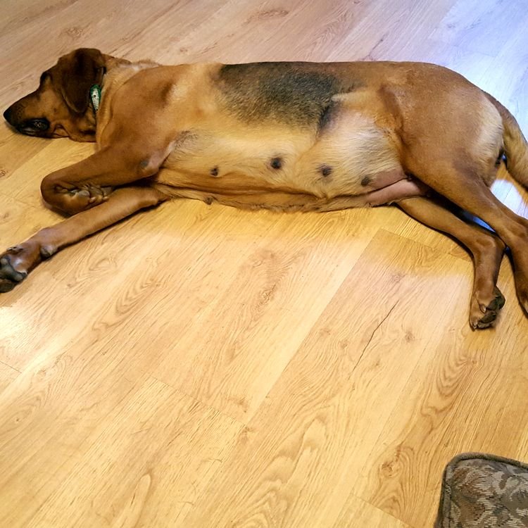 20190821_195725.jpg