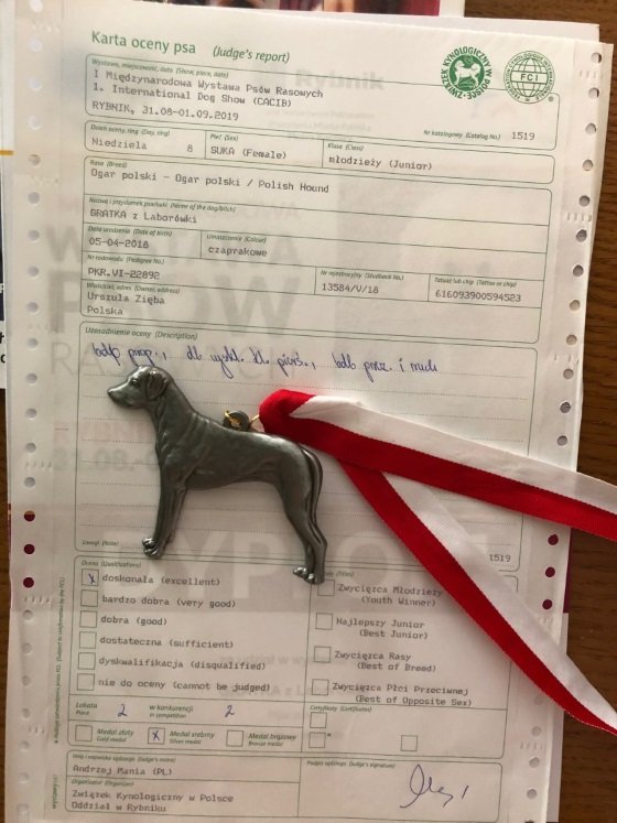 GRATKA z Laborówki.jpg