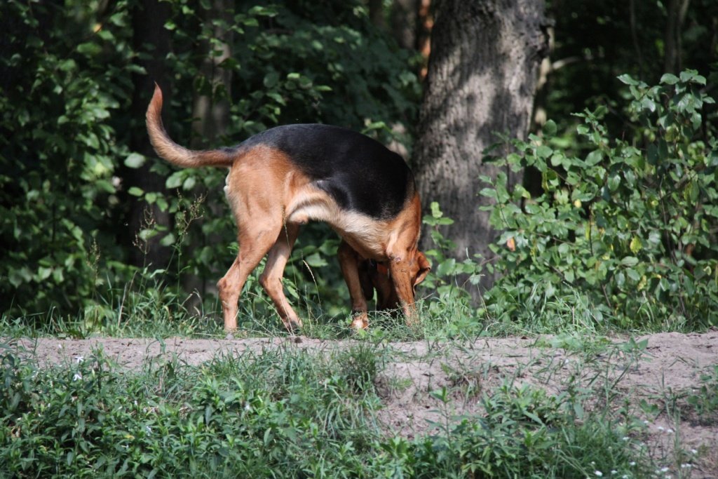 O coś mnie tu pachnie....